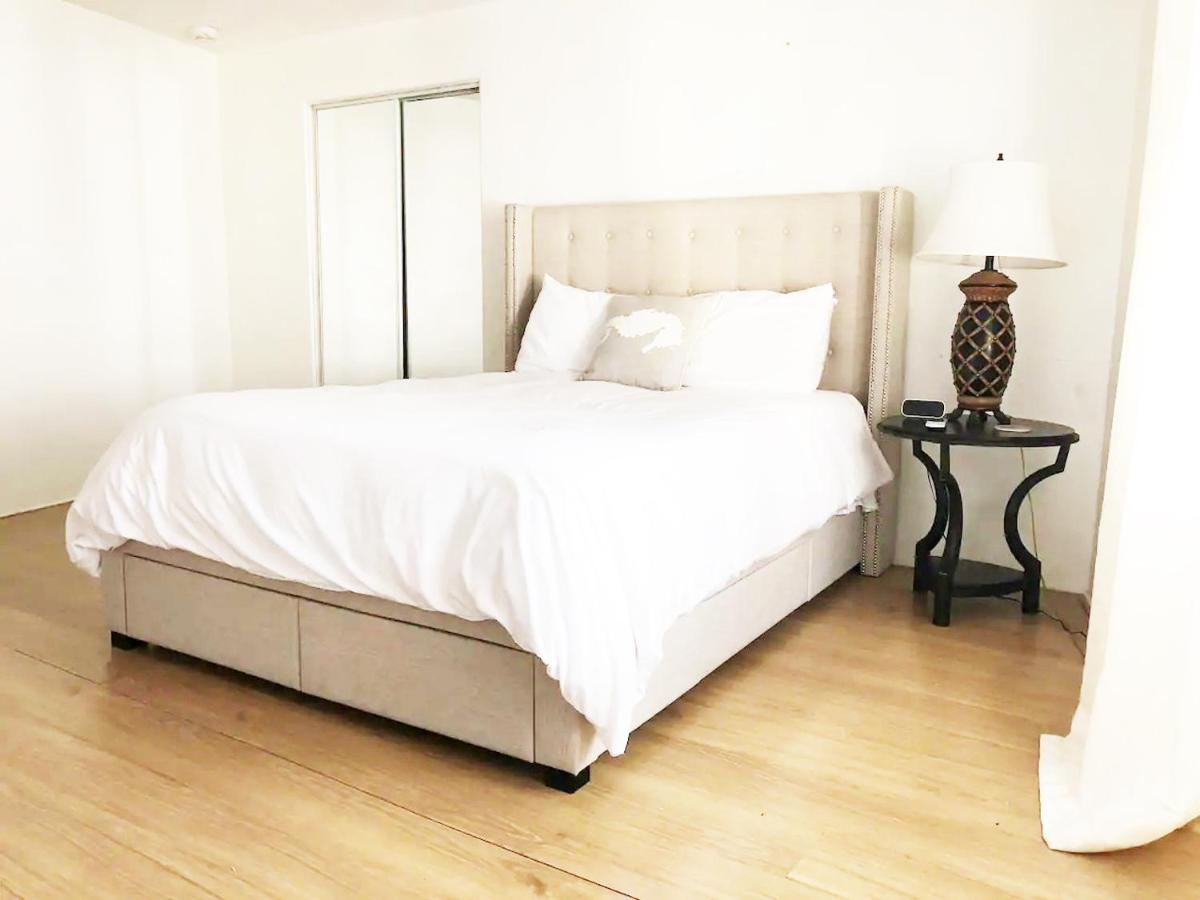 Burns Court Apartment Sarasota Zewnętrze zdjęcie